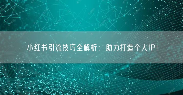 小红书引流技巧全解析：助力打造个人IP！