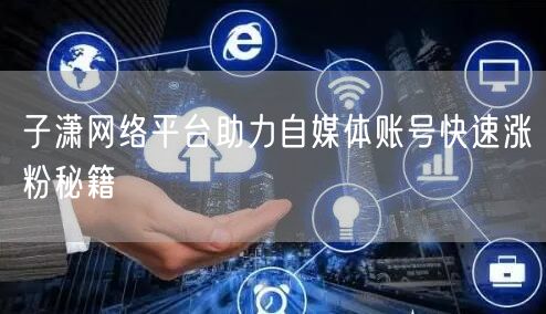 子潇网络平台助力自媒体账号快速涨粉秘籍