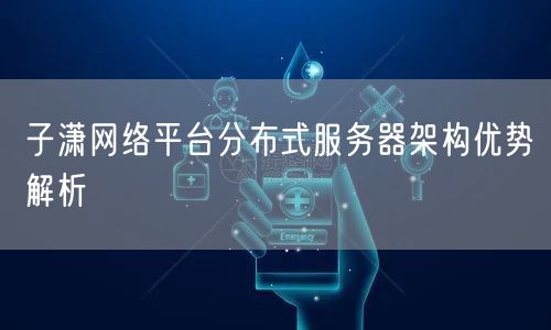 子潇网络平台分布式服务器架构优势解析