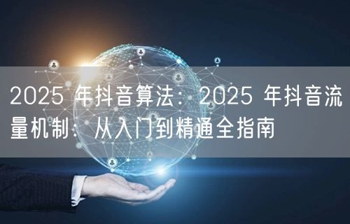 2025 年抖音算法：2025 年抖音流