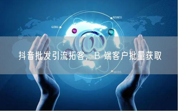 抖音批发引流拓客，B 端客户批量获取
