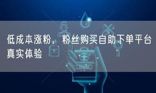 低成本涨粉，粉丝购买自助下单平台真实体验