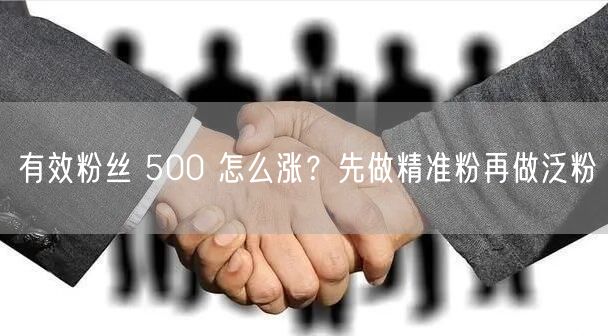 有效粉丝 500 怎么涨？先做精准粉再做