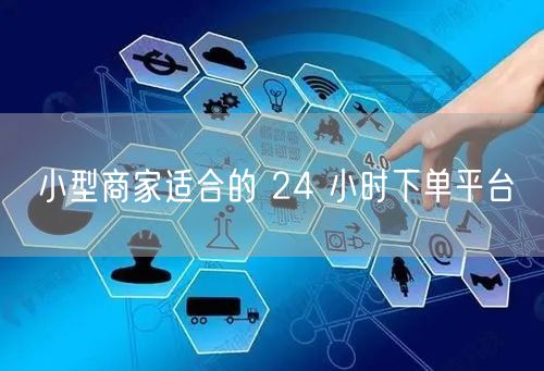小型商家适合的 24 小时下单平台