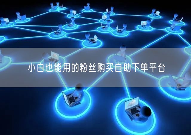 小白也能用的粉丝购买自助下单平台