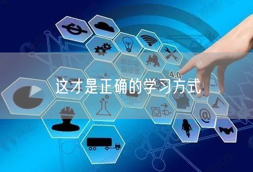 这才是正确的学习方式