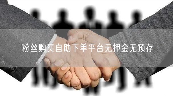 粉丝购买自助下单平台无押金无预存
