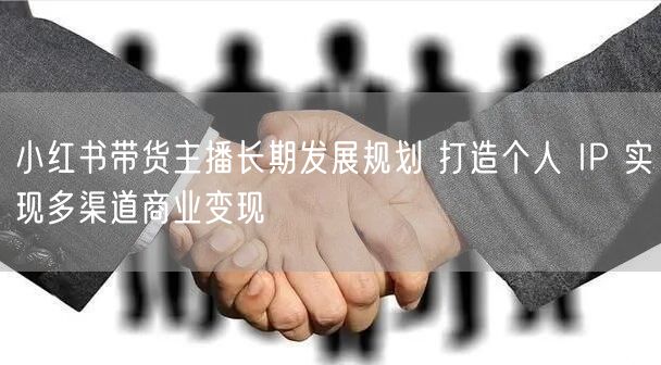 小红书带货主播长期发展规划 打造个人 I