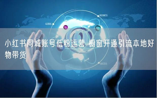小红书同城账号低粉运营 橱窗开通引流本地