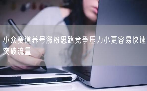 小众赛道养号涨粉思路竞争压力小更容易快速