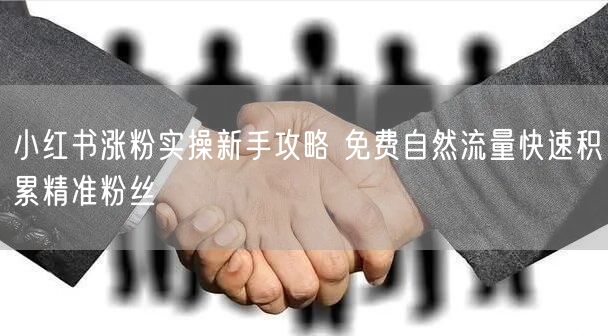 小红书涨粉实操新手攻略 免费自然流量快速