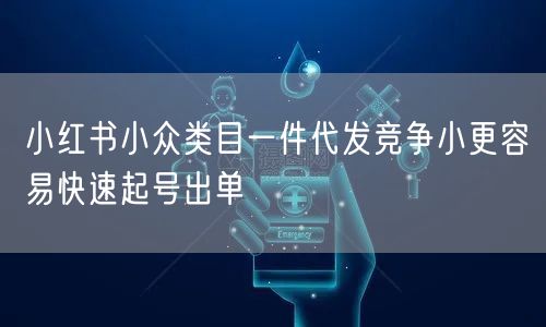 小红书小众类目一件代发竞争小更容易快速起