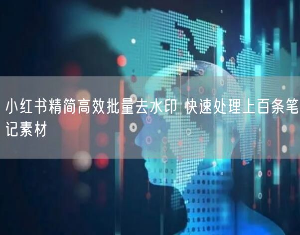 小红书精简高效批量去水印 快速处理上百条