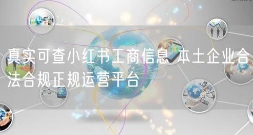 真实可查小红书工商信息 本土企业合法合规