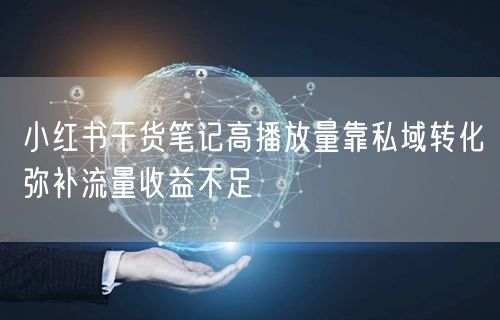 小红书干货笔记高播放量靠私域转化弥补流量