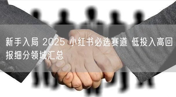 新手入局 2025 小红书必选赛道 低投
