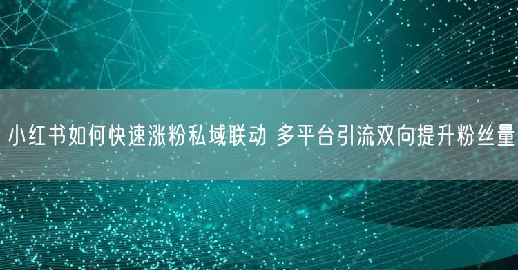 小红书如何快速涨粉私域联动 多平台引流双