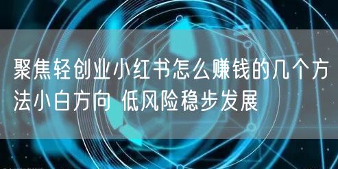 聚焦轻创业小红书怎么赚钱的几个方法小白方