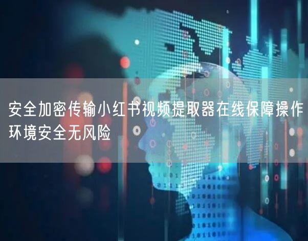 安全加密传输小红书视频提取器在线保障操作