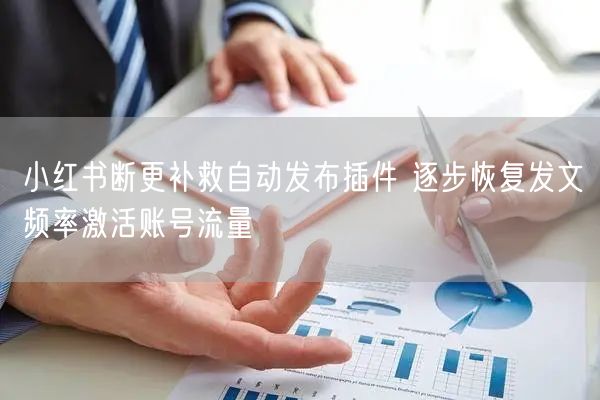 小红书断更补救自动发布插件 逐步恢复发文