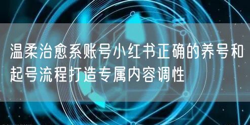温柔治愈系账号小红书正确的养号和起号流程