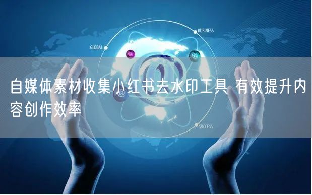 自媒体素材收集小红书去水印工具 有效提升