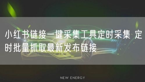 小红书链接一键采集工具定时采集 定时批量