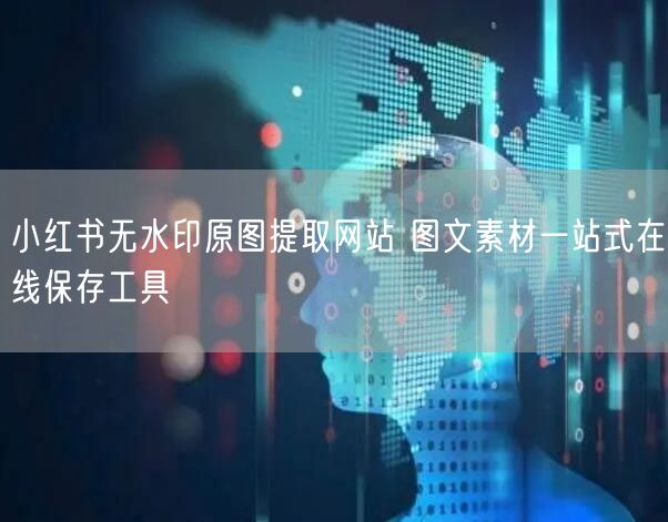 小红书无水印原图提取网站 图文素材一站式