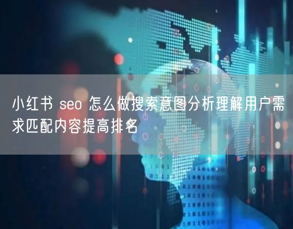 小红书 seo 怎么做搜索意图分析理解用