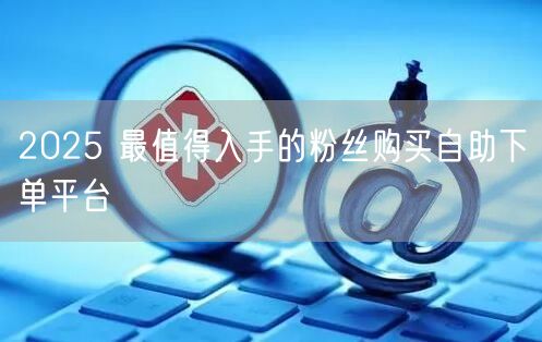 2025 最值得入手的粉丝购买自助下单平