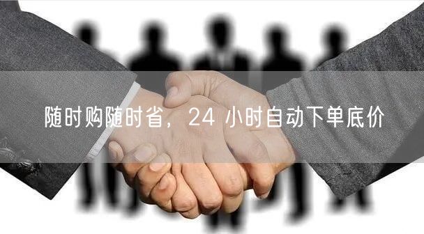 随时购随时省，24 小时自动下单底价