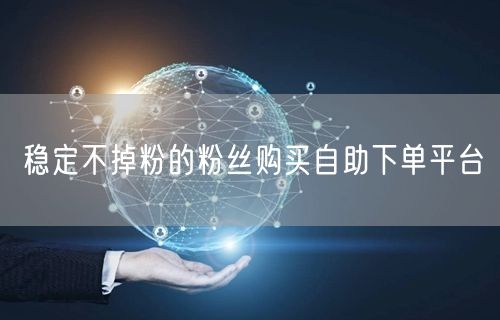 稳定不掉粉的粉丝购买自助下单平台